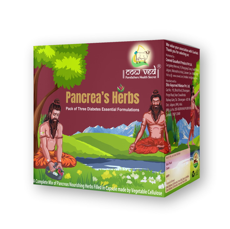 Pancreas Herbs (Pack Of Three Diabetes Essential Formulations Filled In Capsule Made Of Vegetable Cellulose  ) 1 Box = 4 Bottles For 1 Month)
